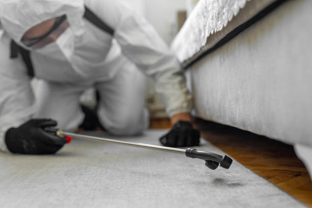 Professional Emergency Pest Control technician working in Goose Creek, SC