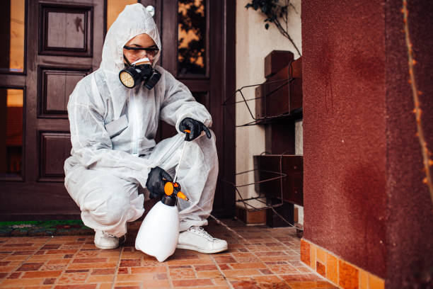 Reliable Emergency Pest Control contractor in Goose Creek, SC by Nex Pest Control